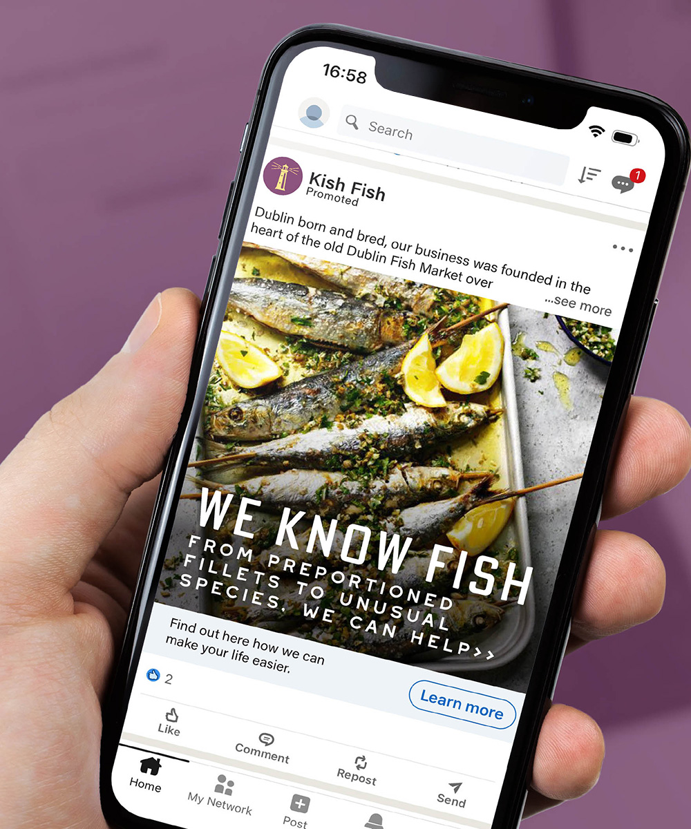 Kish Fish Case Study